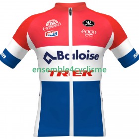 Maillot Cyclisme Baloise TREK Lions 2024